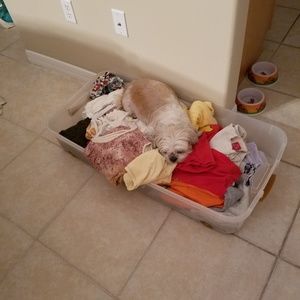 Meet your Posher, Holly